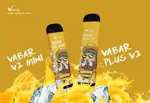 V2 Mini Is Coming Soon!